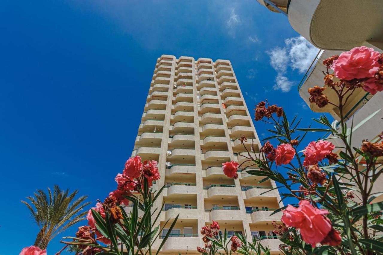 Oasis Apartment Los Cristianos  Ngoại thất bức ảnh